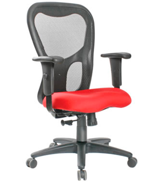 silla Freedom